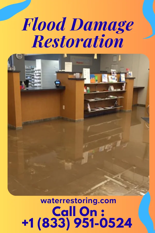 Flood Damage Restoration in Woodlawn Heights, IN