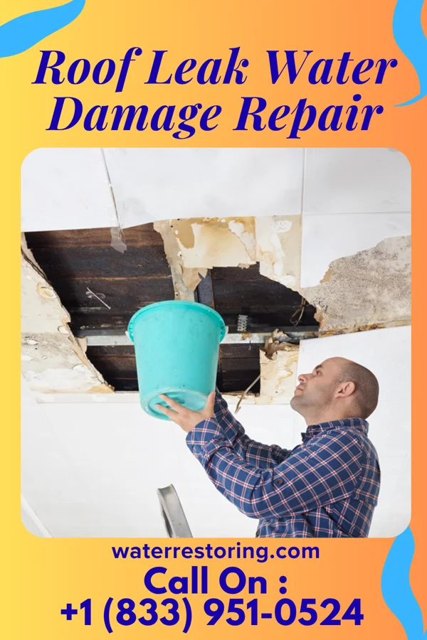 Roof Leak Water Damage Repair in Woodlawn Heights, IN