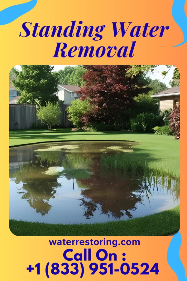 Standing Water Removal in Woodlawn Heights, IN